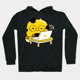 cat computer science programmer udp joke Hoodie